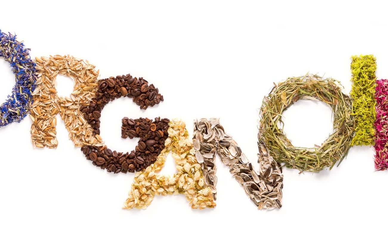 Organoid Marke Header