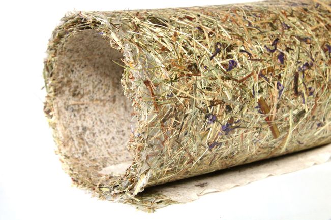 Organoid Galerie 1